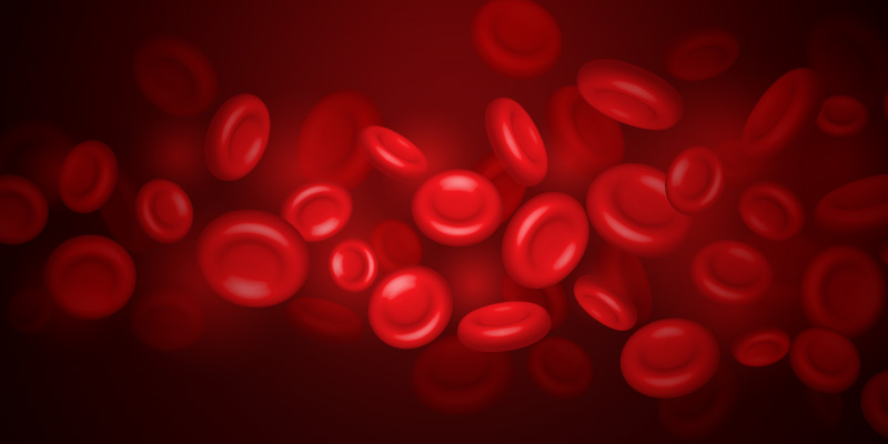 Cells-Flow-Through-Artery-1