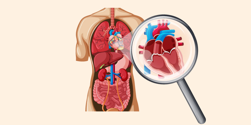 Symptoms-of-Aortic-Valve-Regurgitation